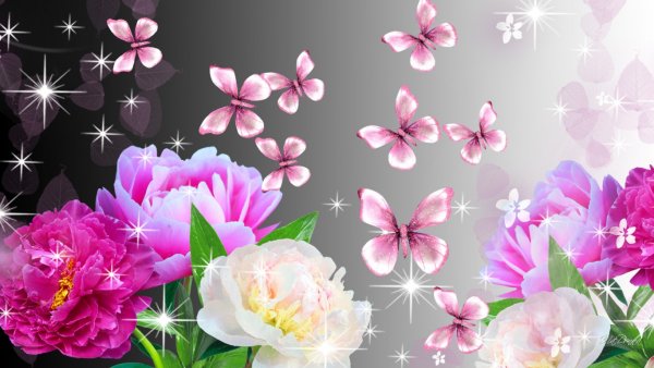 Природа цветы