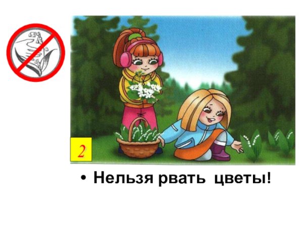 Рвать цветы запрещено