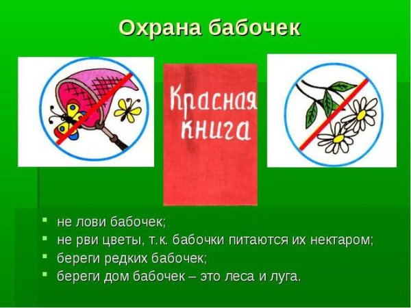 Плакат берегите растения