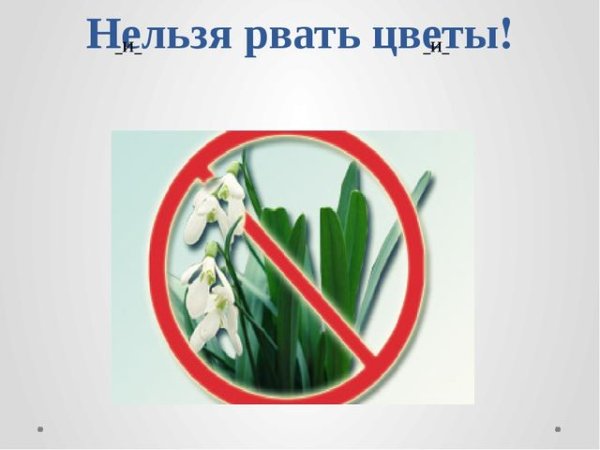 Знак не срывать цветы