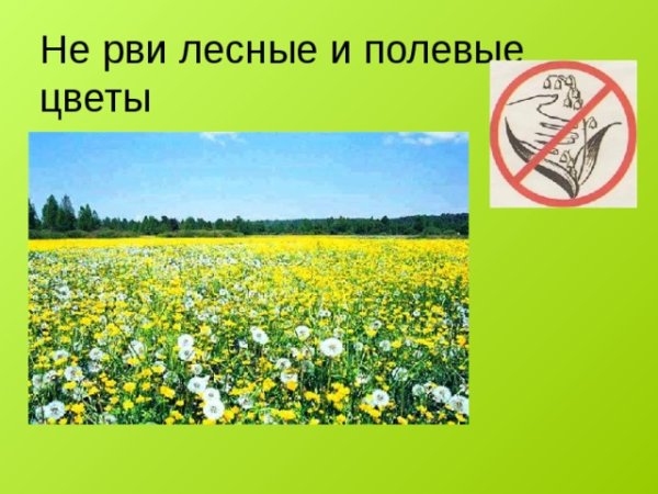 Знак нельзя срывать цветы