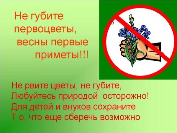 Памятка береги растения
