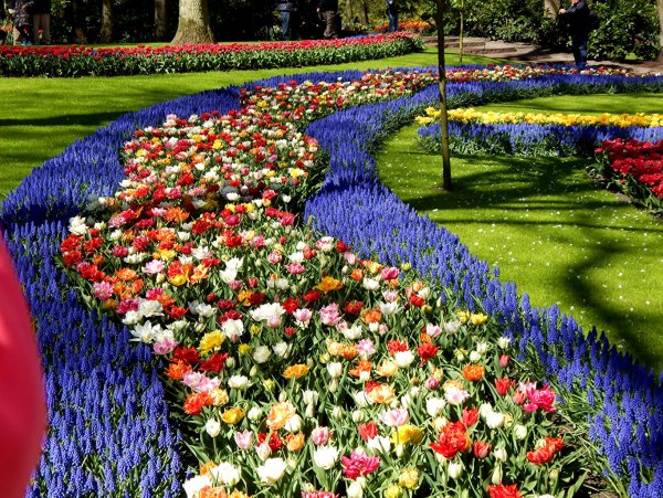 Парк «Кекенхоф» (Keukenhof) летом