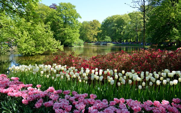 Keukenhof Gardens Нидерланды