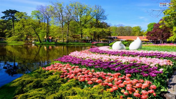 Парк «Кекенхоф» (Keukenhof) летом