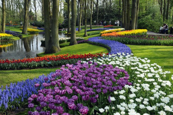 Парк «Кекенхоф» (Keukenhof) летом