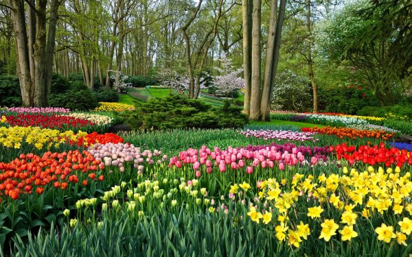Парк «Кекенхоф» (Keukenhof) летом