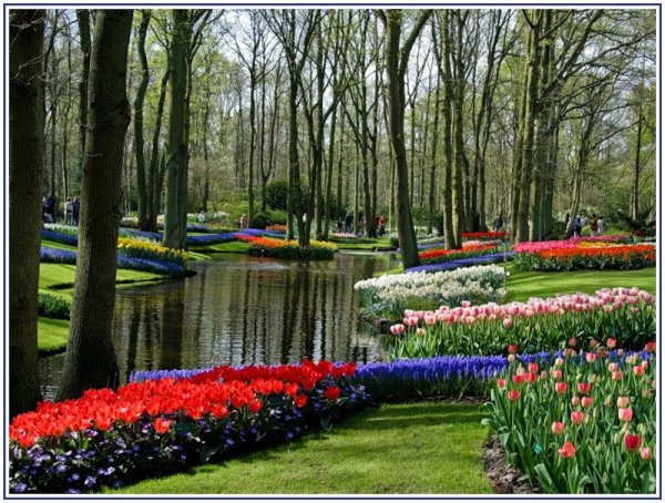 Парк «Кекенхоф» (Keukenhof) летом