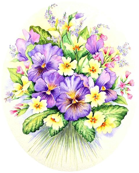 Елена Вавилина Анютины глазки