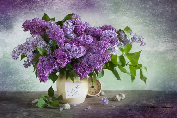 Дом сирени Ирины Подосинкиной