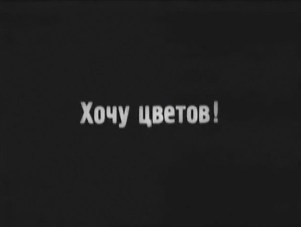Хочу цветочки