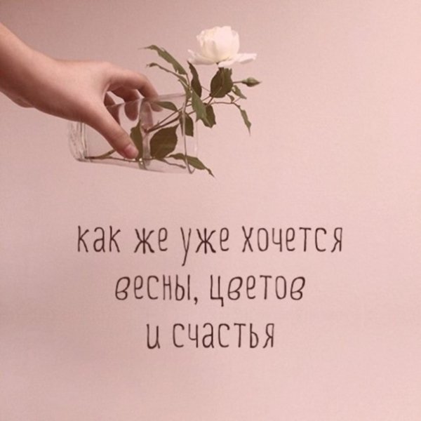 Подари мне цветочек