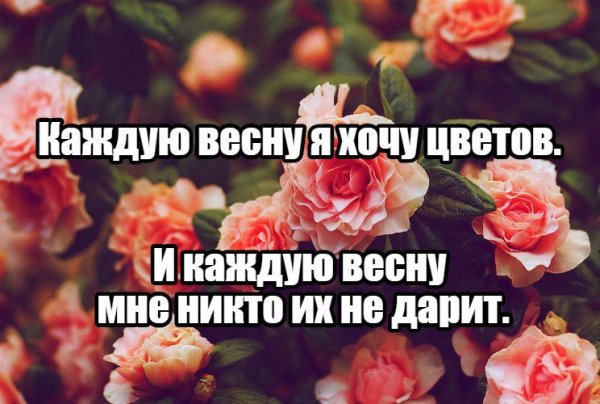 Хочется цветочков