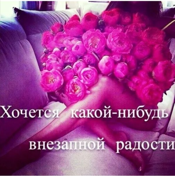 Хочу ромашки