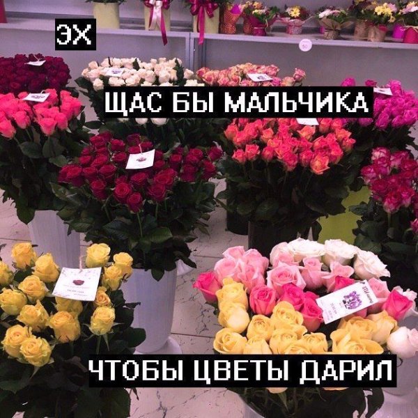 Красивые розы с надписью