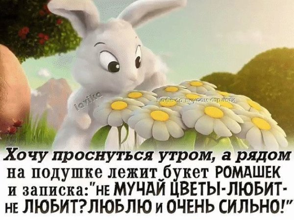 Намек на цветы