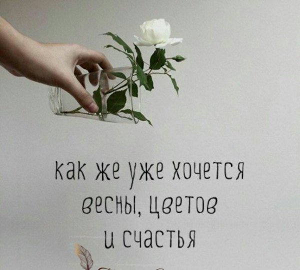Настроение хочется цветов