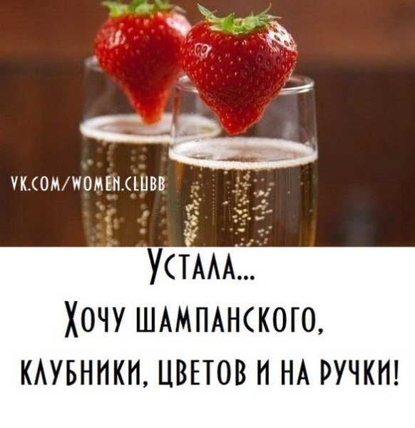 Огромная охапка роз