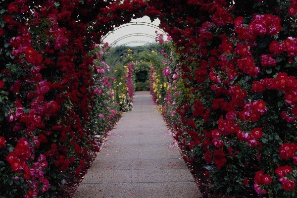 Парк цветов Dubai Miracle Garden