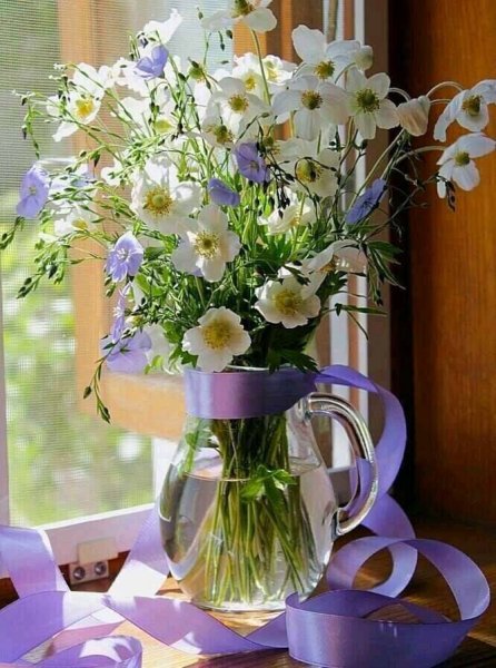 Флоксы в вазе