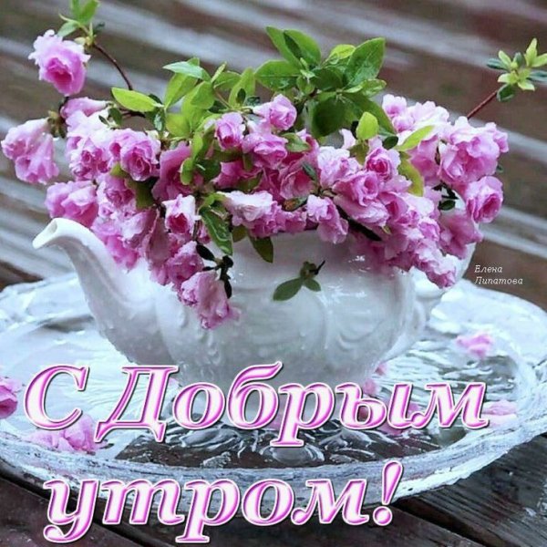 Поздравления с добрым весенним утром
