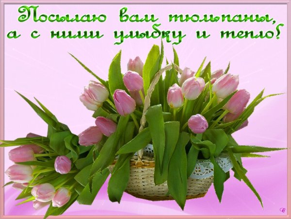 С добрым утром незабудки