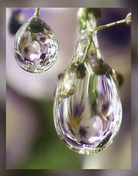 Капелька воды