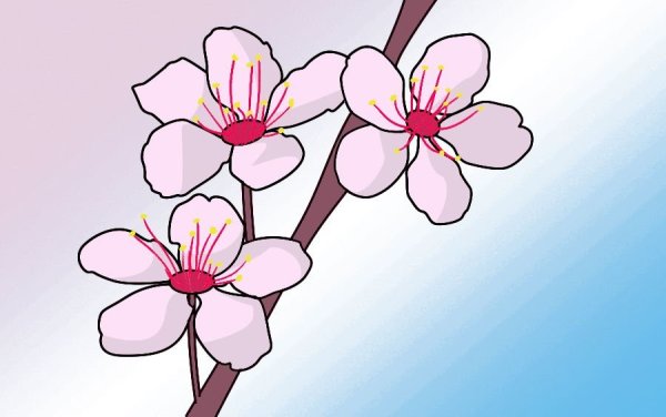 Картинки цветы сакуры для детей (65 фото) » Картинки и статусы проокружающий мир вокруг
