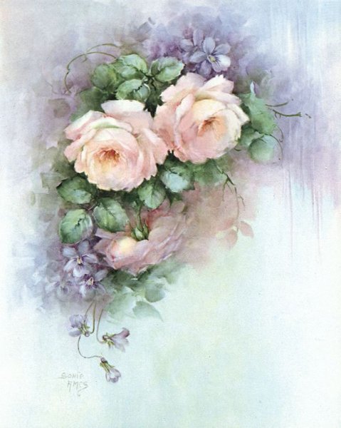 Цветы Sonie Ames