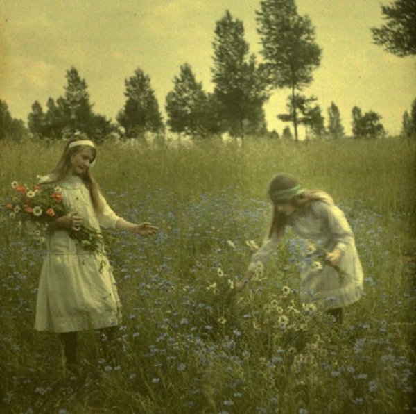Екатерина Чернышева художник