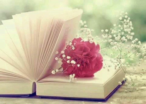 Цветы в книжке