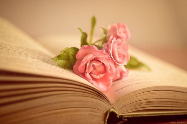 Раскрытые книги с цветами