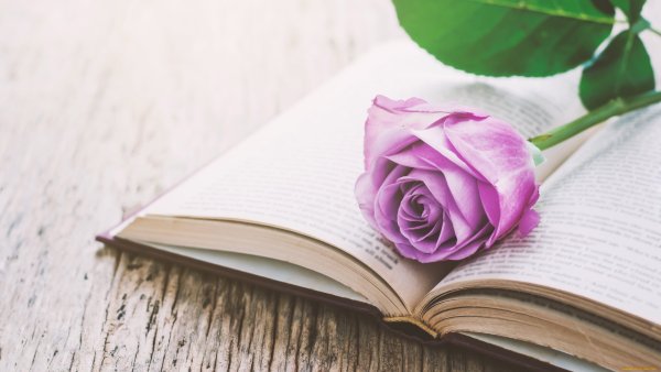 Книга с цветами