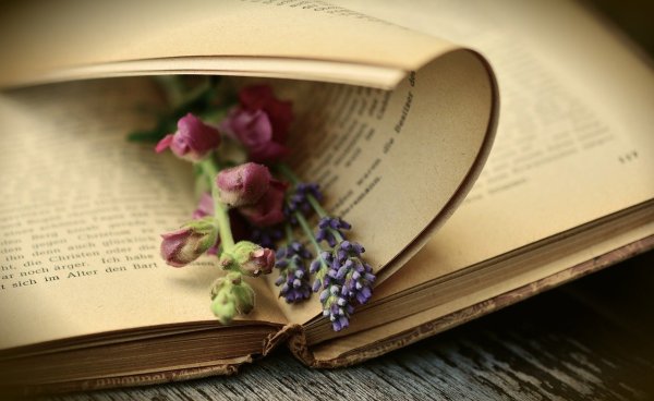 Книги о цветах