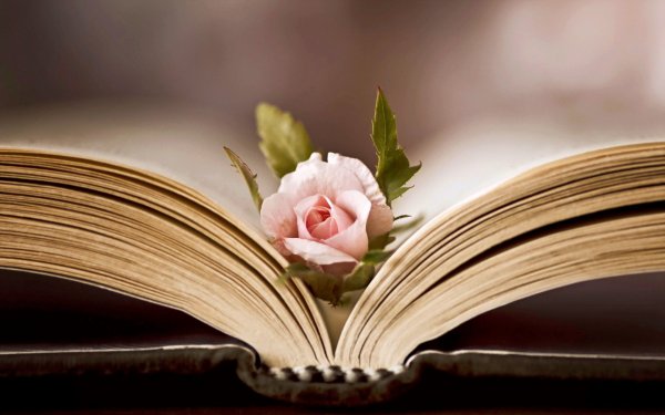 Фон книги