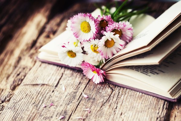 Цветы в книжке