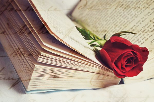 Книги с цветами на прозрачном фоне