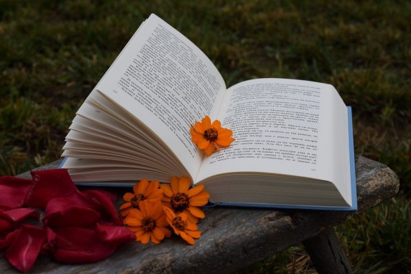 Красивые книги
