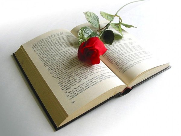 Книга с цветами