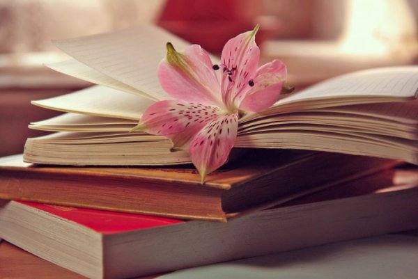 Раскрытая книга