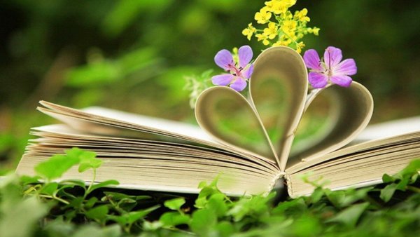 Книга природа