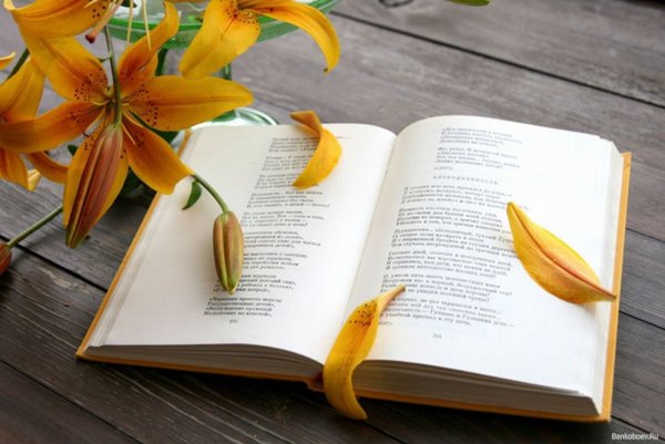 Книга цветы