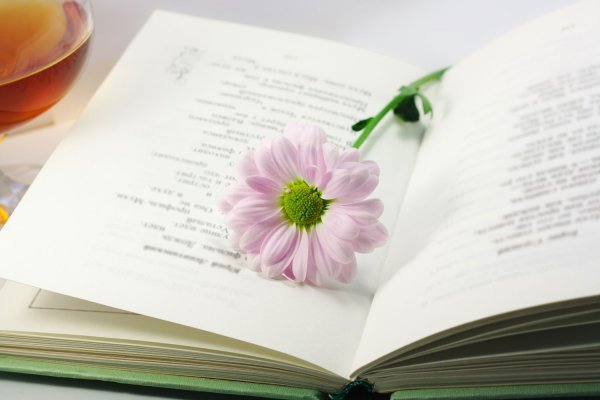 Книга цветы