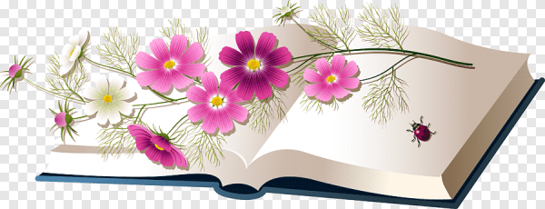 Книги и голубые цветы