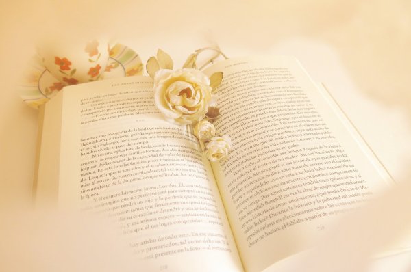 Книга с цветком на прозрачном фоне