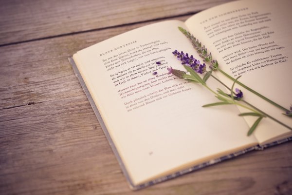 Книга анимация