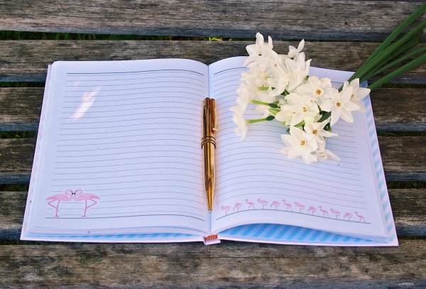 Рамка в виде книги