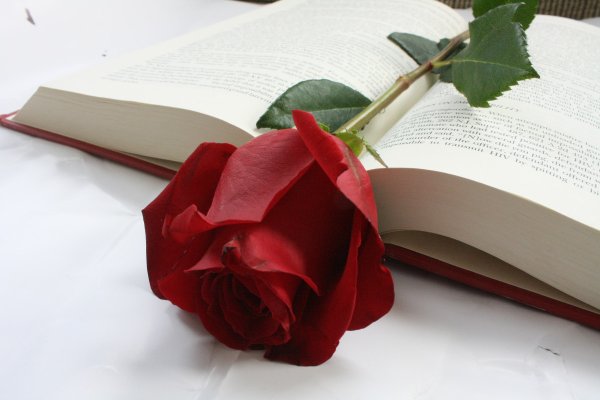 Раскрытые книги с цветами