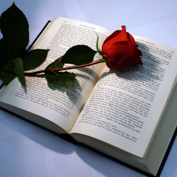 Книга на траве