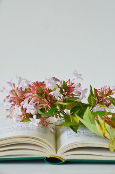 Открытка книга